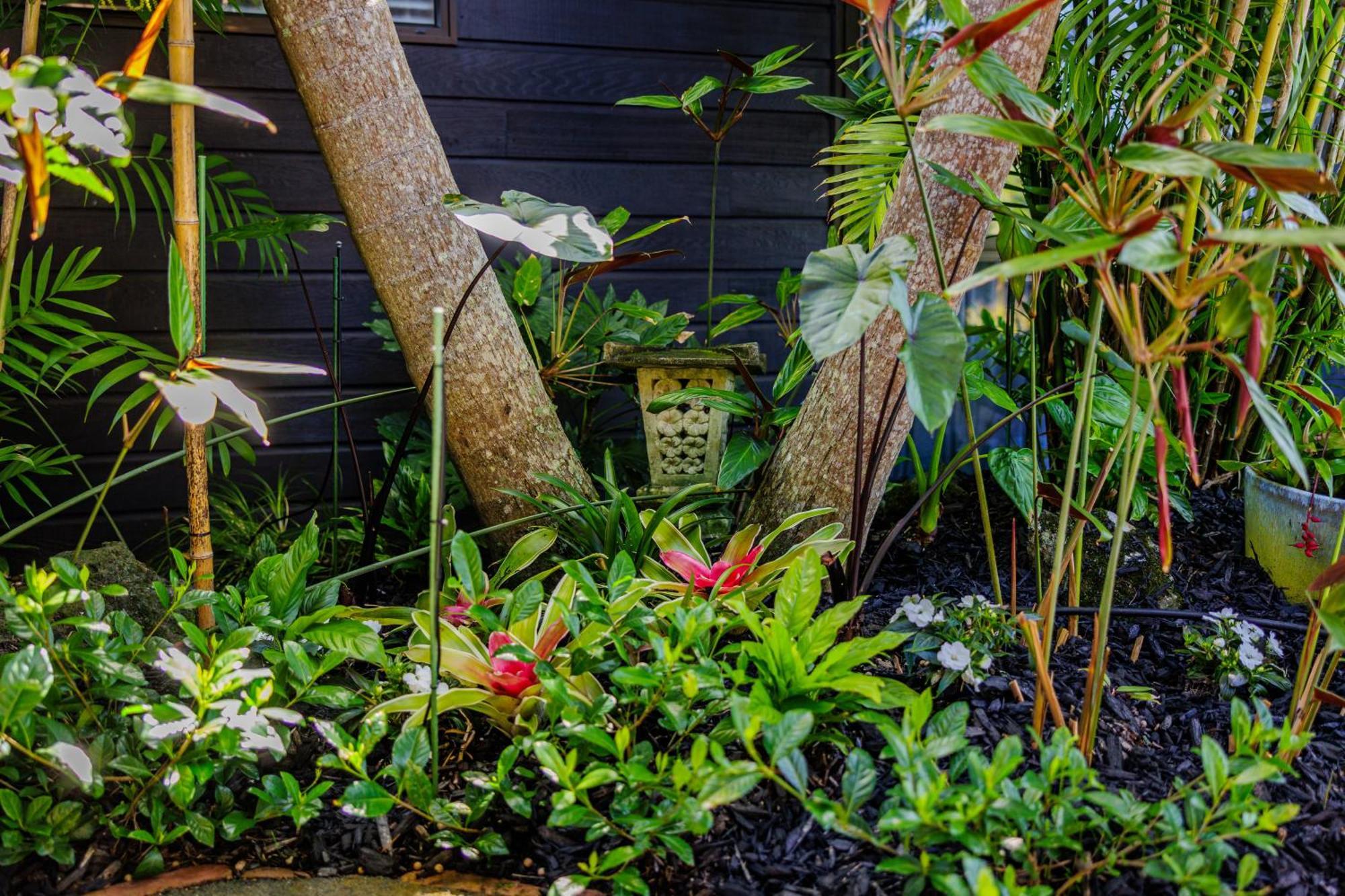 Harbour View Cottage Bay Of Islands Opua Exterior photo